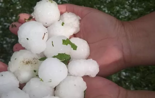 Quail-Egg-Sized Hailstones Pound Kyrgyzstan in Sudden Storm