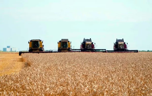 Kazakhstan Exports Grain to 45 Countries Amid Record Harvest