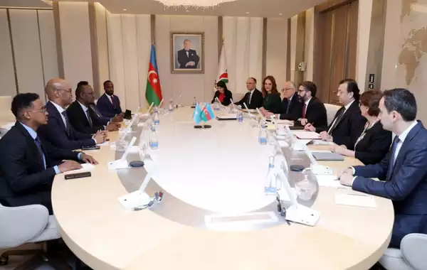 SOCAR and Somalia Explore Potential Energy Sector Cooperation