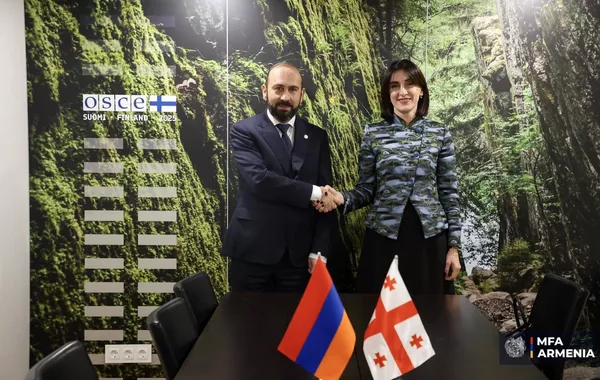 Armenian, Georgian FMs Meet in Vienna