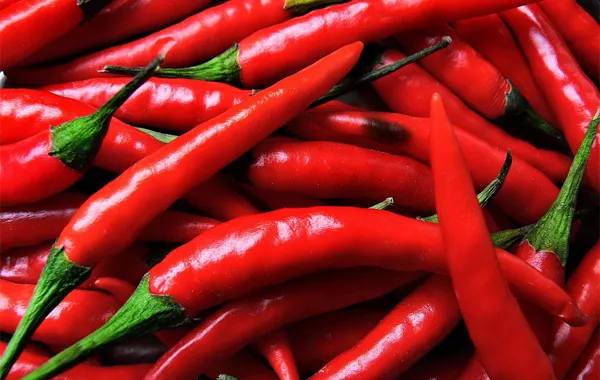 Kazakhstan, Spain Among Top Buyers of Uzbek Peppers in 2025