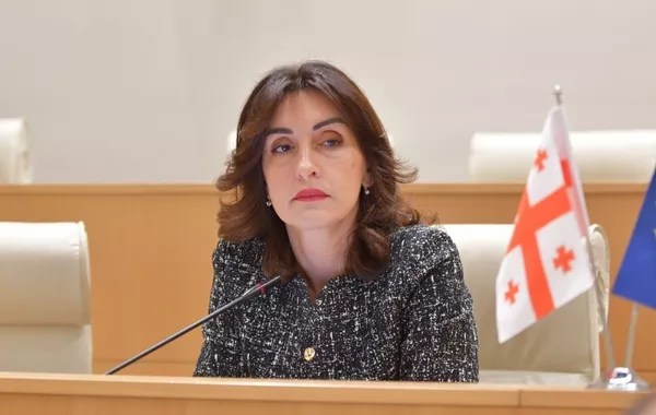 Georgian FM Accuses Europe of Double Standards