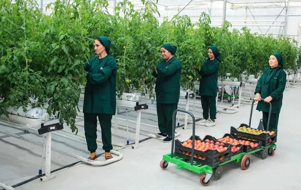 Turkmenistan Launches High-Tech Greenhouse in Balkan
