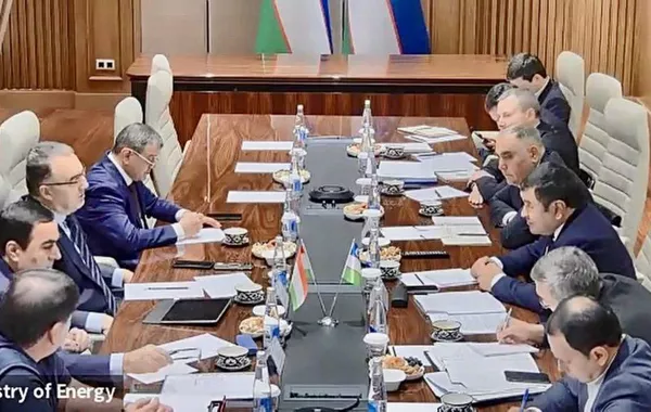 Uzbekistan and Tajikistan Enhance Cooperation in the Energy Sector
