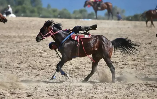 Kazakhstan Elevates National Sports to Priority Status Under New Law