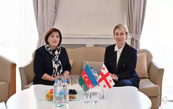 Azerbaijani Parliament Speaker Starts Official Visit to Georgia