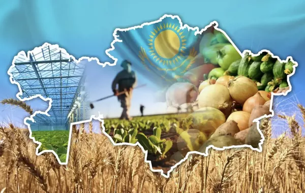 Kazakhstan's Food Production Sees 10% Growth in H1