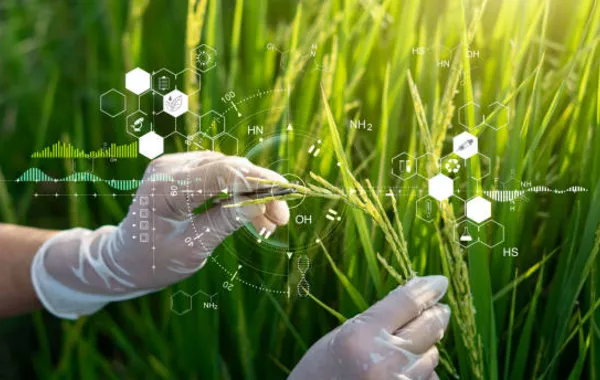 Uzbekistan Eyes Agricultural Innovation Through Chinese Partnership