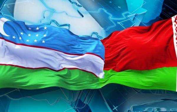 Belarus and Uzbekistan Strengthen Cooperation in Education and Science