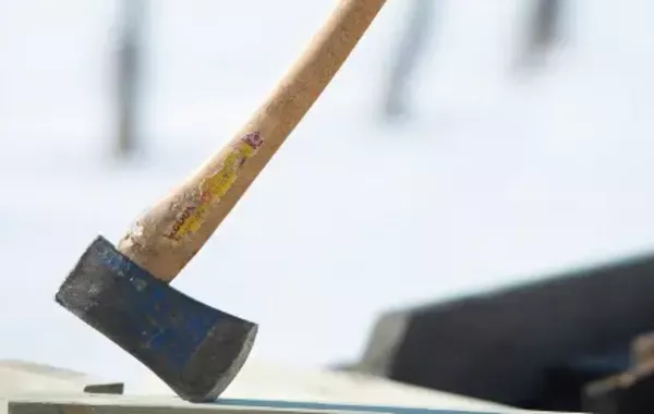 Axe Attack at Kazakh School Injures Two Pupils