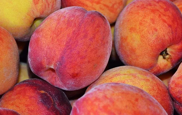 Russia Bans Imports of Turkish Peaches and Other Stone Fruits From Five Exporters