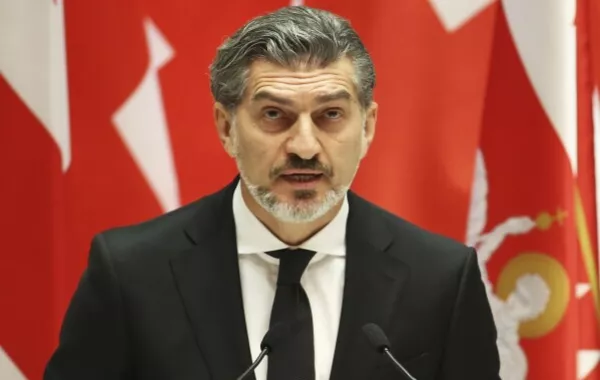 Georgian President Pardons Opposition Leaders