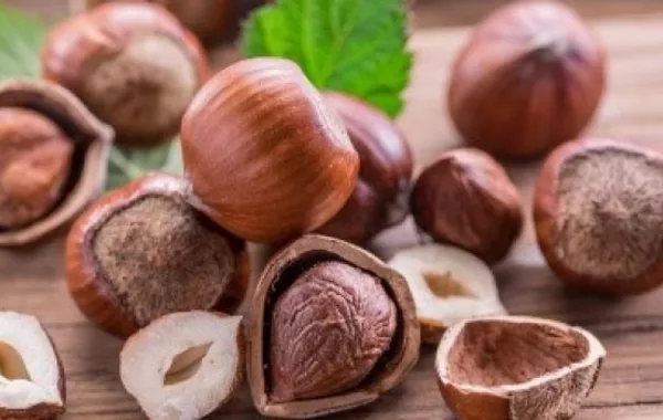 Azerbaijan Eyes Bigger Hazelnut Exports to Bulgaria and EU