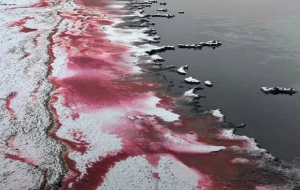 Caspian Sea Near Aktau Turns Red, Sparking Alarm Among Locals