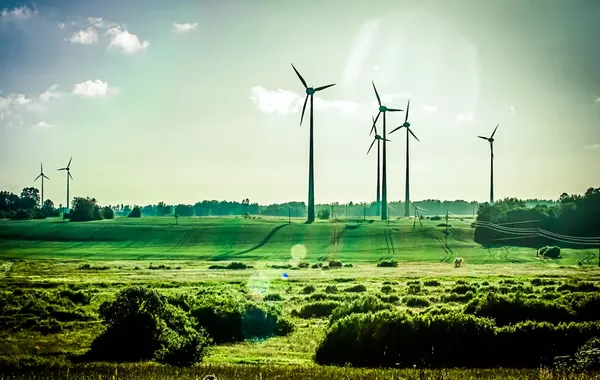 Green Industry is Becoming the Middle East's Most Practical Form of Resilience