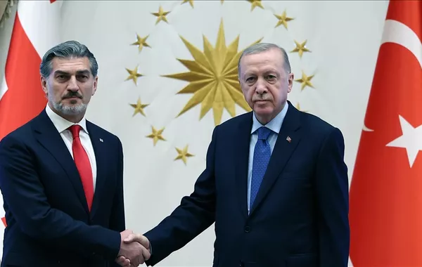 Erdogan, Kavelashvili Discuss Probe into Turkish Military Plane Crash