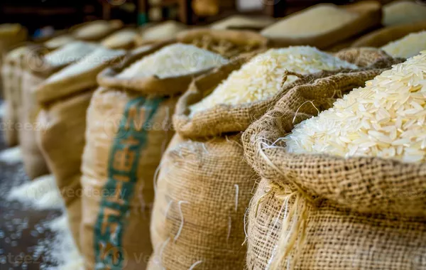 Kyrgyzstan Sees Decline in Staple Food Prices