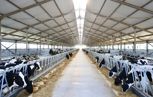 West Kazakhstan Expands Agriculture Through Investment Projects