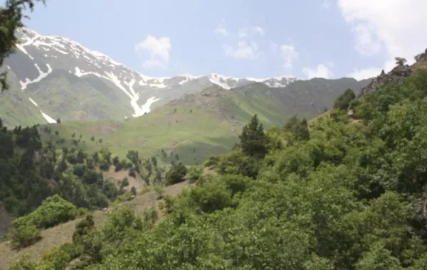 Tajikistan Launches National Biodiversity Strategy to Tackle Climate and Ecosystem Challenges