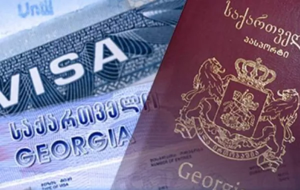 Georgia’s Visa Reform Plan: What It Means