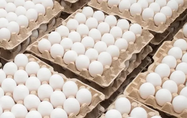 Georgia Boosts Chicken Egg Imports Amid Rising Prices