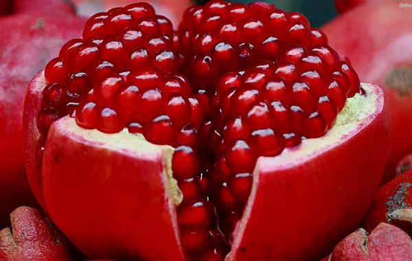 Uzbekistan’s Pomegranate Crop Hits Juicy New High of 61,500 Tons