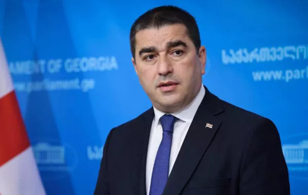 Georgian Speaker: Venezuela Operation Shows EU Decline