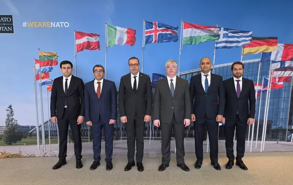 Azerbaijan, NATO Discuss Expanding Cooperation in Humanitarian Demining