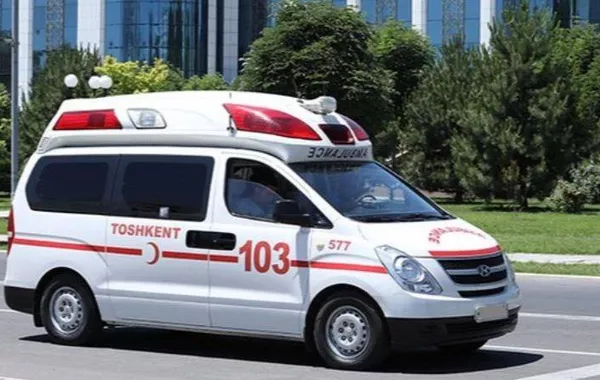 Mass Food Poisoning in Tashkent Kindergartens Leaves 182 Children Hospitalized
