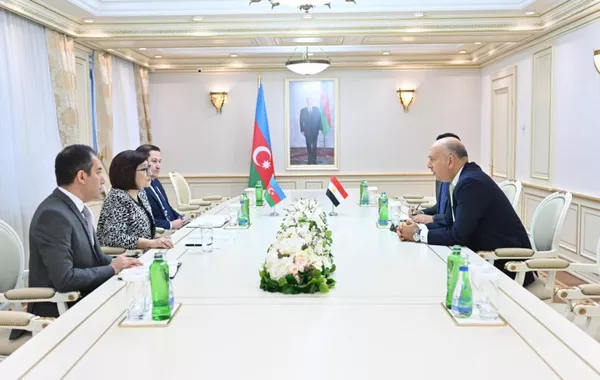 Azerbaijan, Egypt Explore Interparliamentary Relations