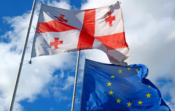 EU Social Democrat Group Meets Georgian Opposition Leaders in Tbilisi