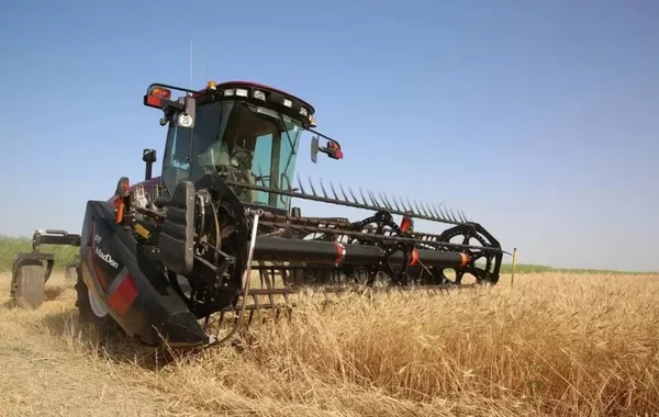 Ministry: Kazakhstan’s Harvest Season Advancing Smoothly