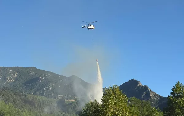 Two Forest Fires Rage Near Türkiye’s Kozan as Strong Winds Fuel Flames