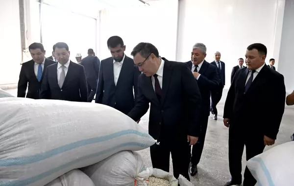 Kyrgyzstan Launches Over 60 Industrial Enterprises in One Day