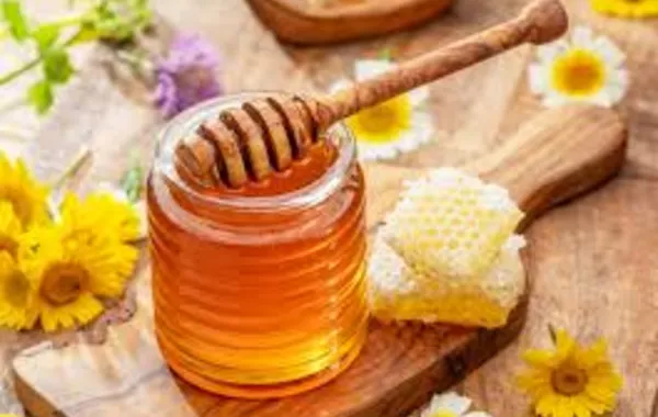 Uzbekistan Boosts Honey Output by 4.8% in H1 2025