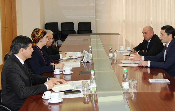 Turkmenistan and CAREC Discuss Key Environmental and Climate Change Challenges