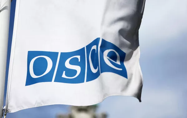 OSCE Official Praises Progress in Azerbaijan-Armenia Peace Talks