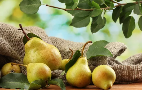 Russia Remains Top Buyer of Azerbaijani Pears as Exports Surge in 2026