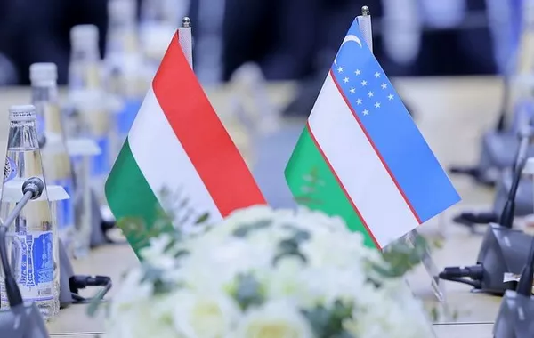 Uzbekistan Eyes Deeper University Collaboration with Hungary’s Óbuda University