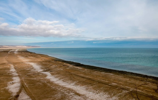 Aral Sea: Record Inflows and Greening Efforts Drive Environmental and Economic Revival