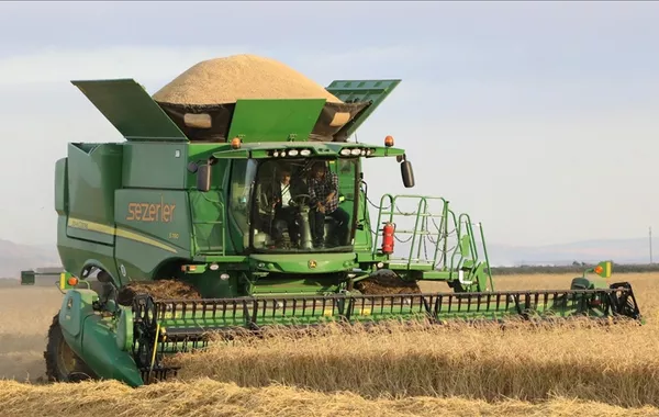 Türkiye Tops Global Rankings in Multiple Agricultural Products