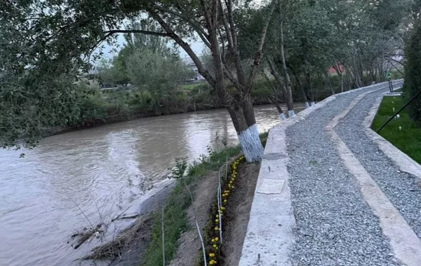 Four Children Die After Electric Moped Plunges Into Canal in Uzbekistan