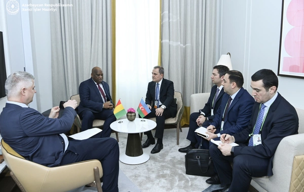 Azerbaijan and Guinea Explore Collaboration Opportunities Across Various Sectors