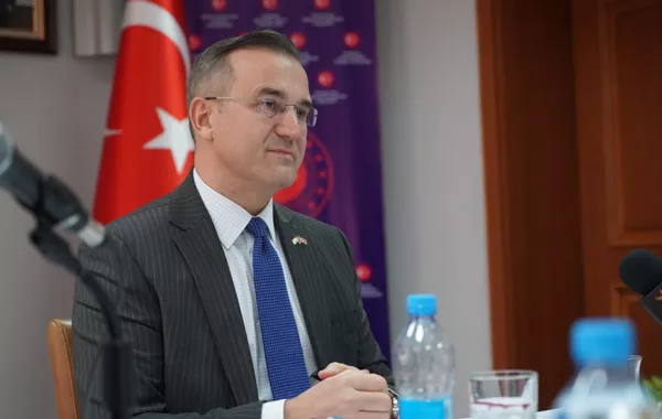 Ambassador: High Fuel Costs Keep Turkish Airlines Tickets to Tajikistan Expensive