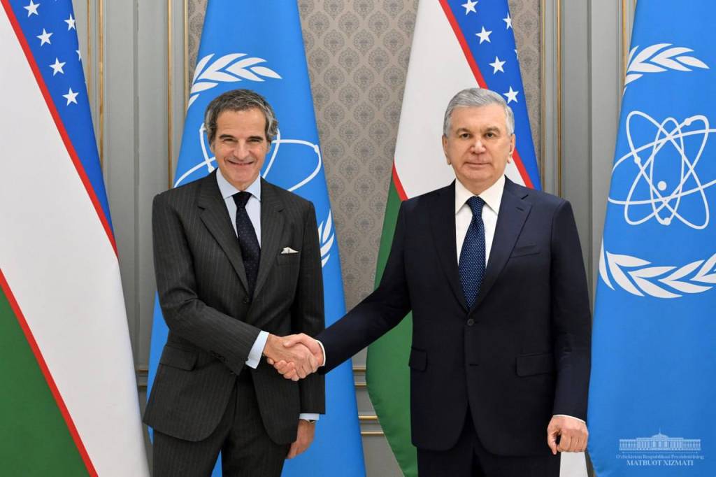 Uzbek President Stresses Importance of Expanding Partnership with UN Nuclear Agency