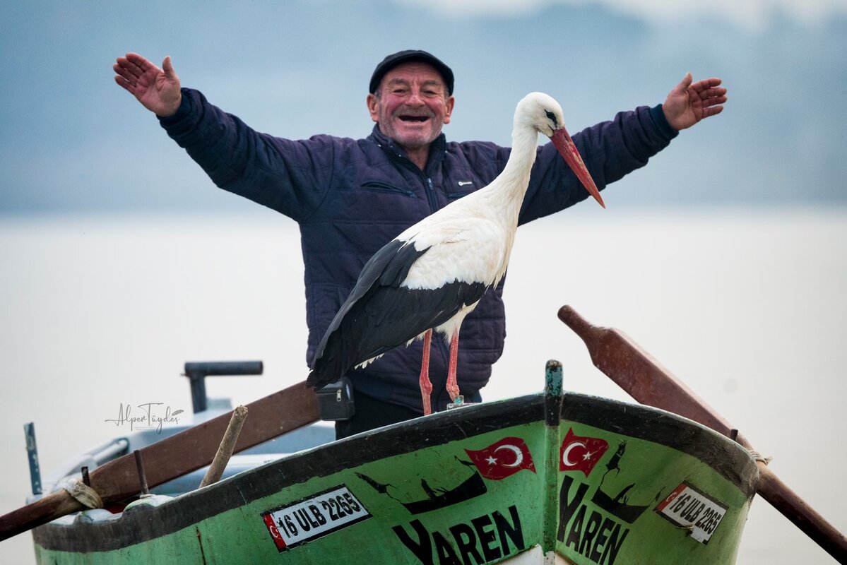 Fisherman Stork Yaren