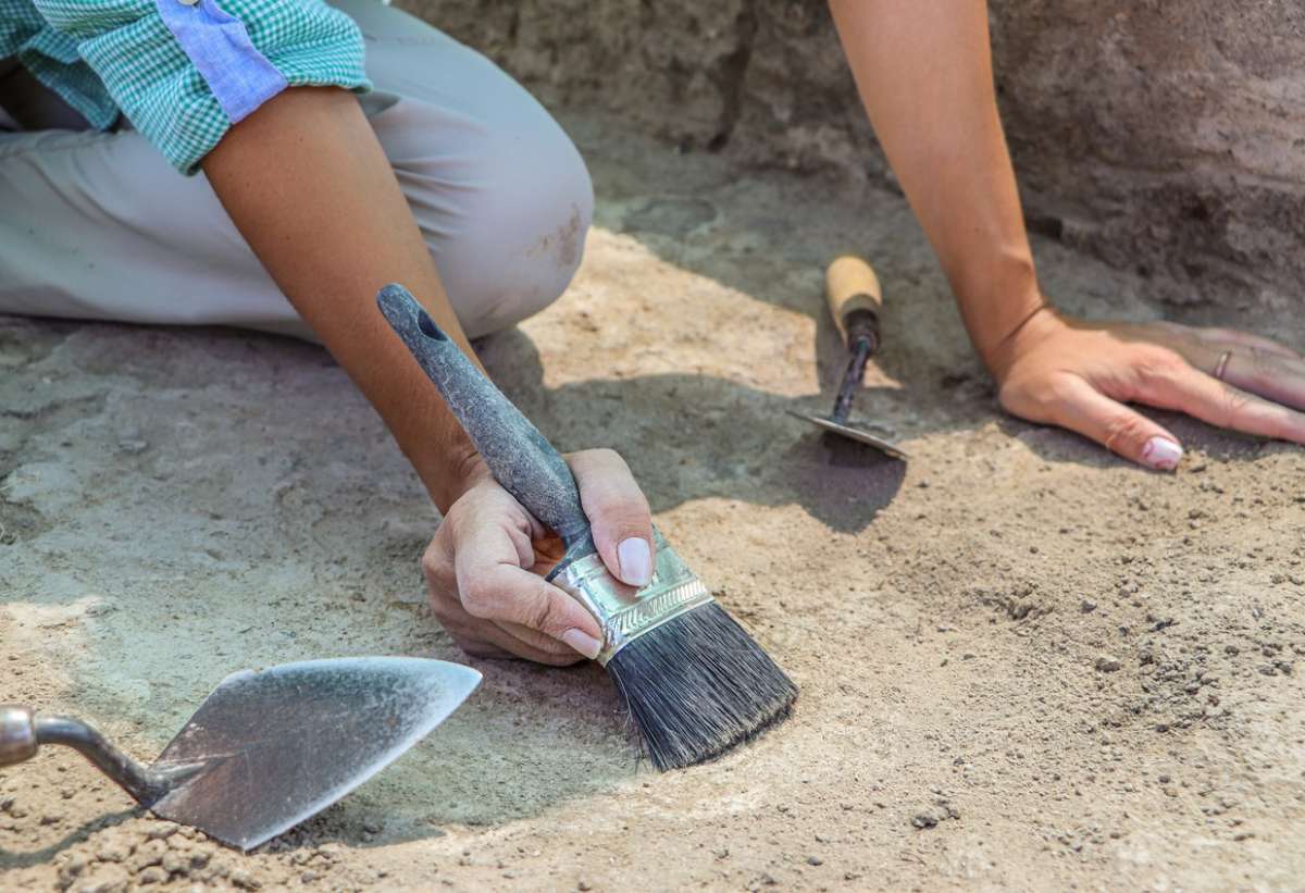 85-Million-Year-Old Dinosaur Fossils Found in Northern Tajikistan