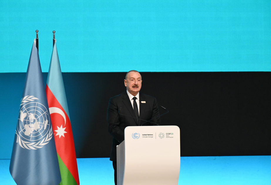 Azerbaijani President: Feasibility Study for Black Sea-Caspian Energy Cable Will Be Ready Very Soon