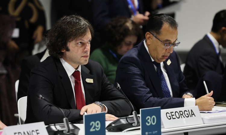 Georgian Premier Warns of Severe Consequences of Climate Change at COP29