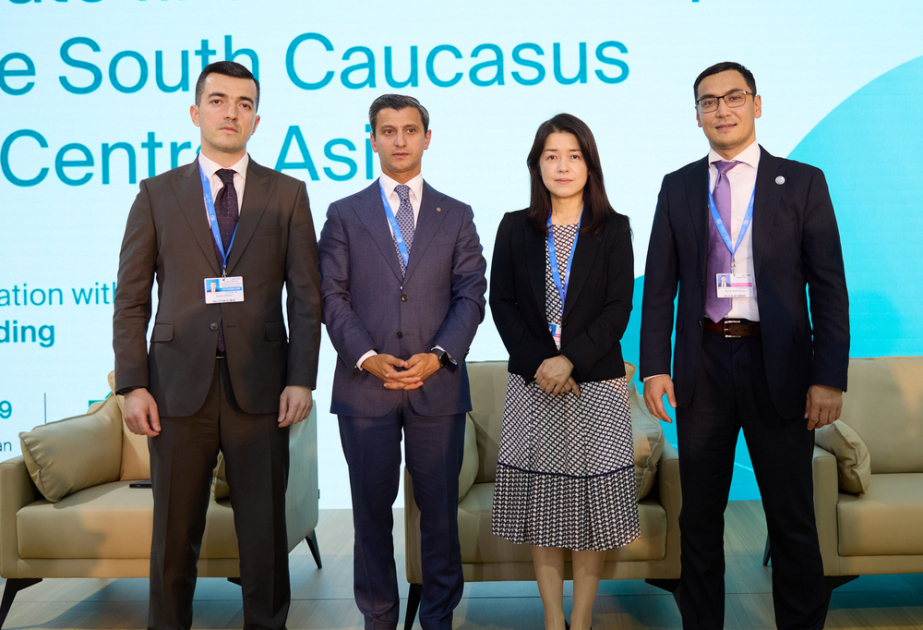 COP29: Panel held on "Climate Finance in the South Caucasus and Central Asia"